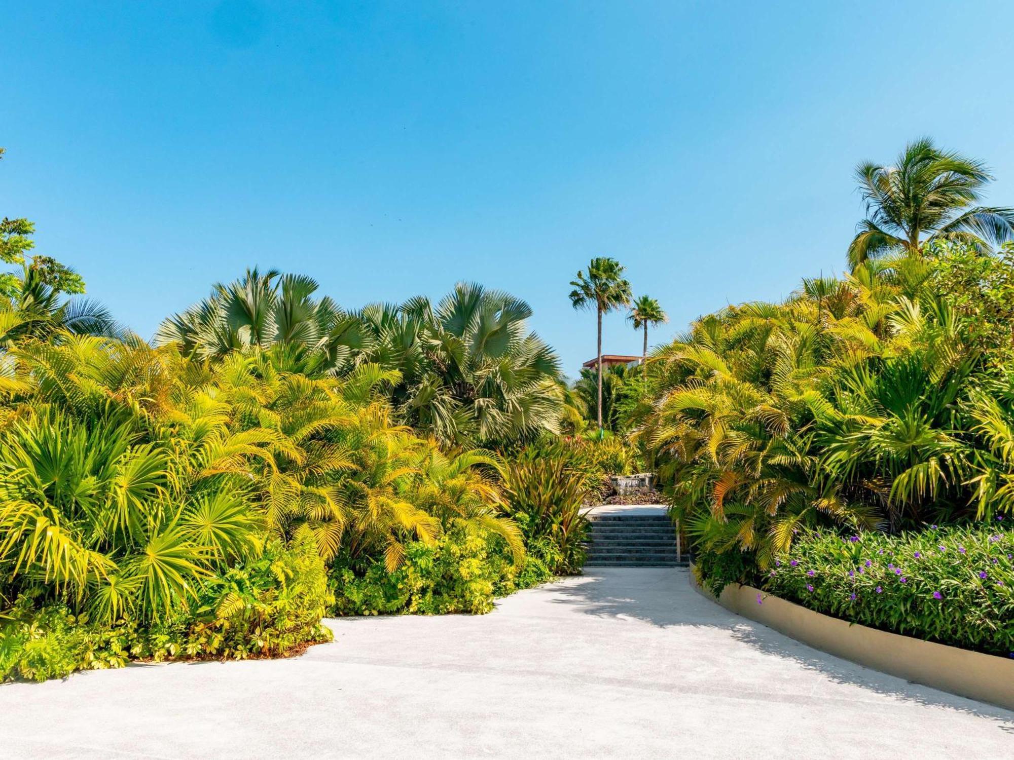 Armony Marival Resort & Spa Punta De Mita - Mgallery Collection (Adults Only) Punta Mita Extérieur photo